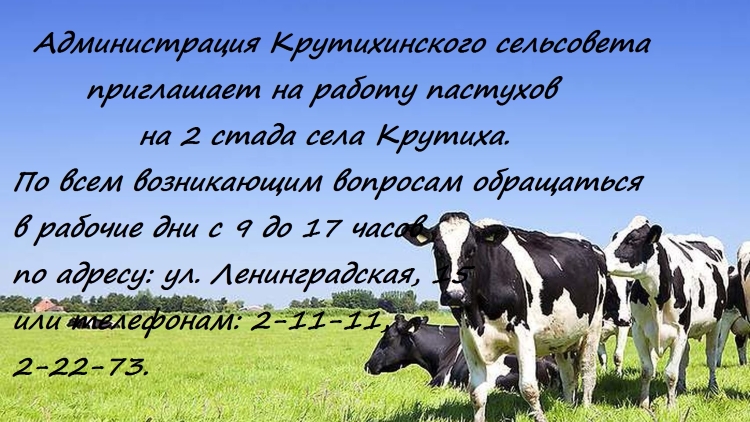 Администрация Крутихинского сельсовета приглашает на работу пастухов